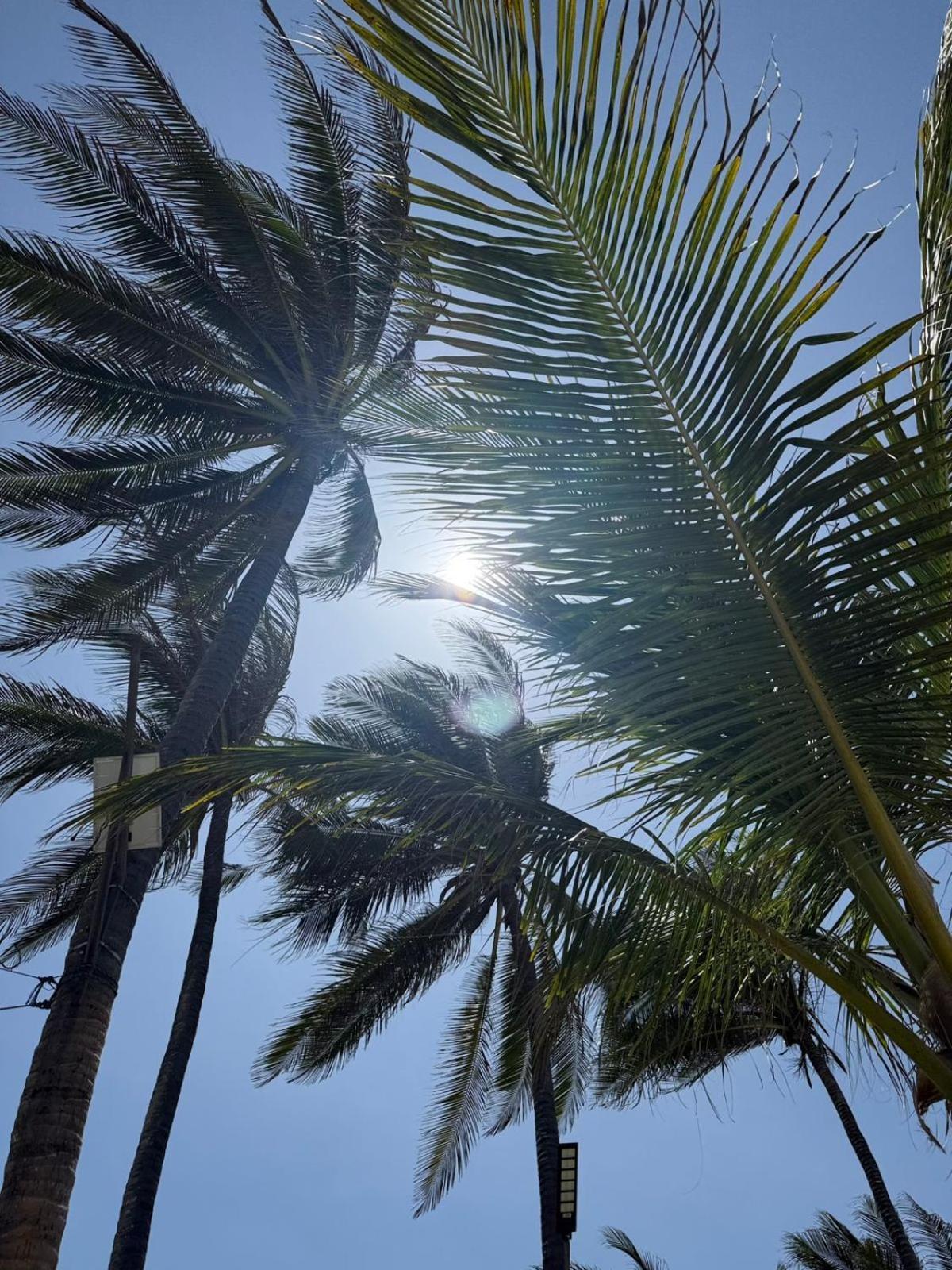 Playa Palmeras Beach Resort Cartagena Buitenkant foto